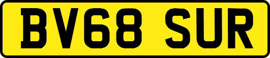 BV68SUR