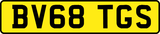BV68TGS
