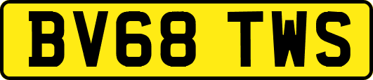 BV68TWS