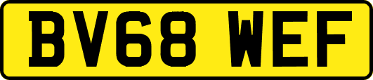 BV68WEF