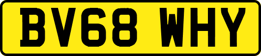 BV68WHY