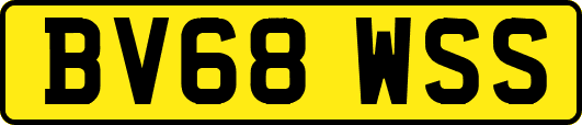 BV68WSS
