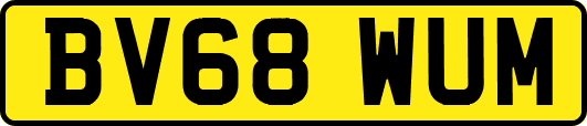 BV68WUM