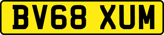 BV68XUM