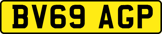 BV69AGP