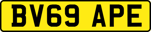 BV69APE