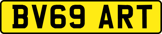 BV69ART