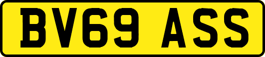 BV69ASS