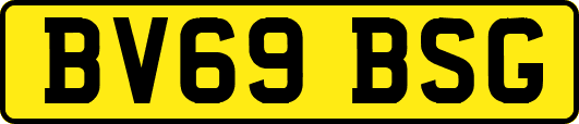 BV69BSG