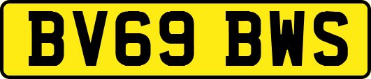 BV69BWS