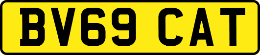 BV69CAT