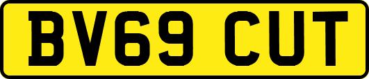 BV69CUT