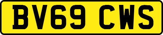 BV69CWS
