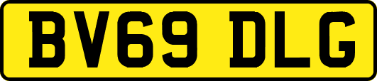 BV69DLG
