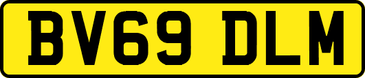 BV69DLM