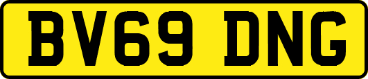 BV69DNG