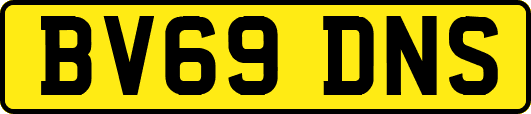 BV69DNS