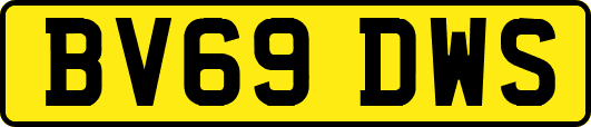 BV69DWS
