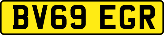 BV69EGR