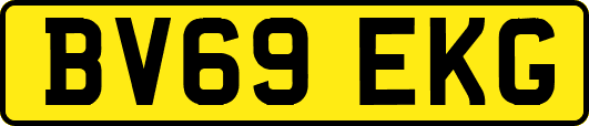 BV69EKG