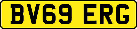 BV69ERG