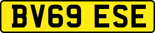 BV69ESE