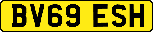 BV69ESH