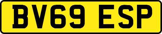 BV69ESP