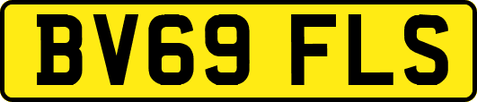 BV69FLS