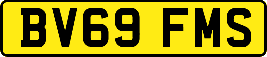 BV69FMS