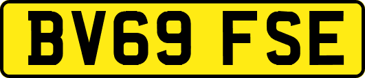BV69FSE