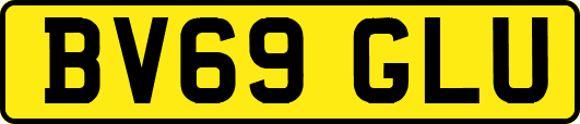 BV69GLU