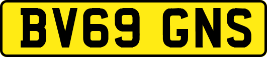 BV69GNS