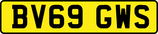 BV69GWS