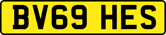 BV69HES