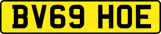 BV69HOE