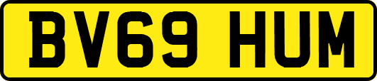BV69HUM