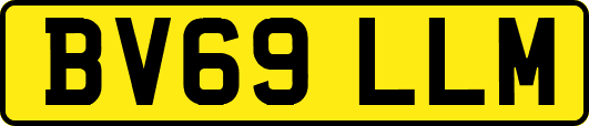 BV69LLM