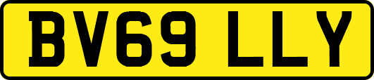 BV69LLY