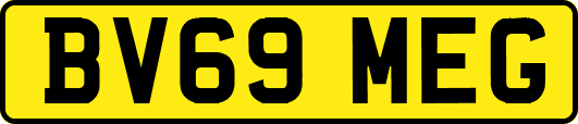 BV69MEG