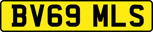 BV69MLS