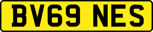 BV69NES