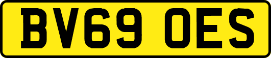 BV69OES