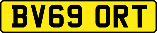 BV69ORT