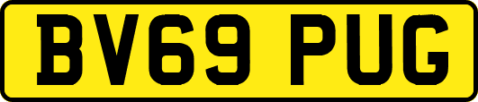 BV69PUG