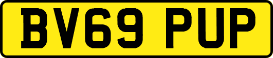 BV69PUP