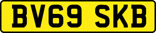 BV69SKB