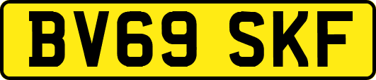 BV69SKF