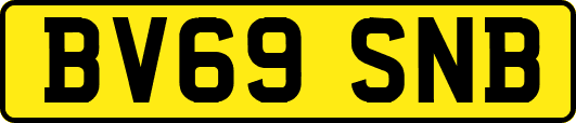 BV69SNB
