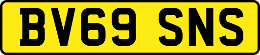 BV69SNS